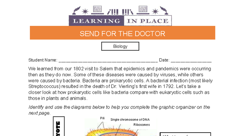 Biology 101: Prokaryotic vs Eukaryotic Cells Overview - Studocu