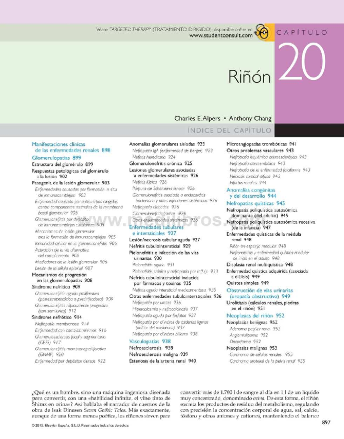 Capítulo 20: Glomerulopatías y Enfermedades Renales (TRATAM IENTO DIRIG ...