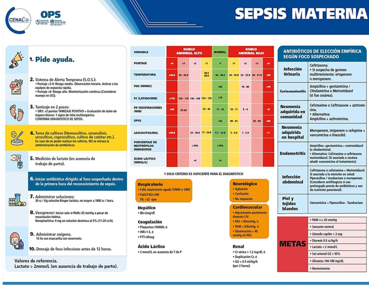 Sepsis Materna: Guía de Manejo y Tratamiento Empírico - Studocu