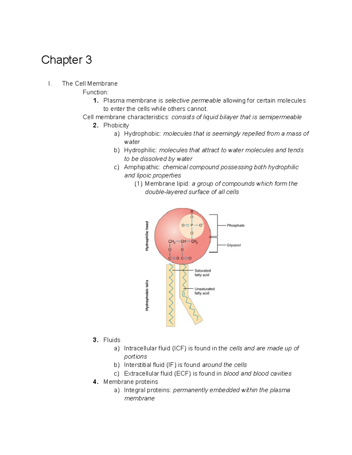 Chapter 3 Assignment: Cell Membrane, Cytoplasm & Protein Synthesis ...