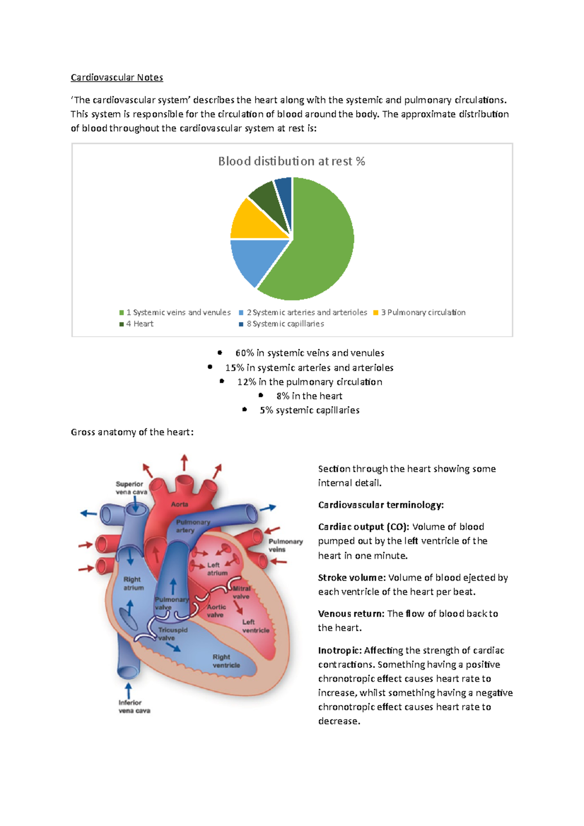 Cardiovascular System Study Notes for Health Sci 101 - Studocu