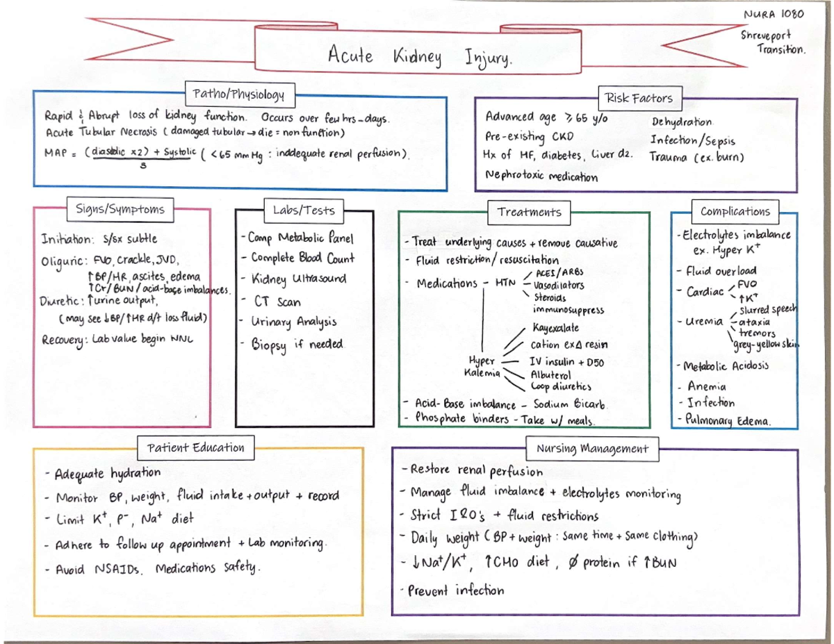 Nugrp 1080 Acute Kidney Injury Concept Map and Risk Factors - Studocu
