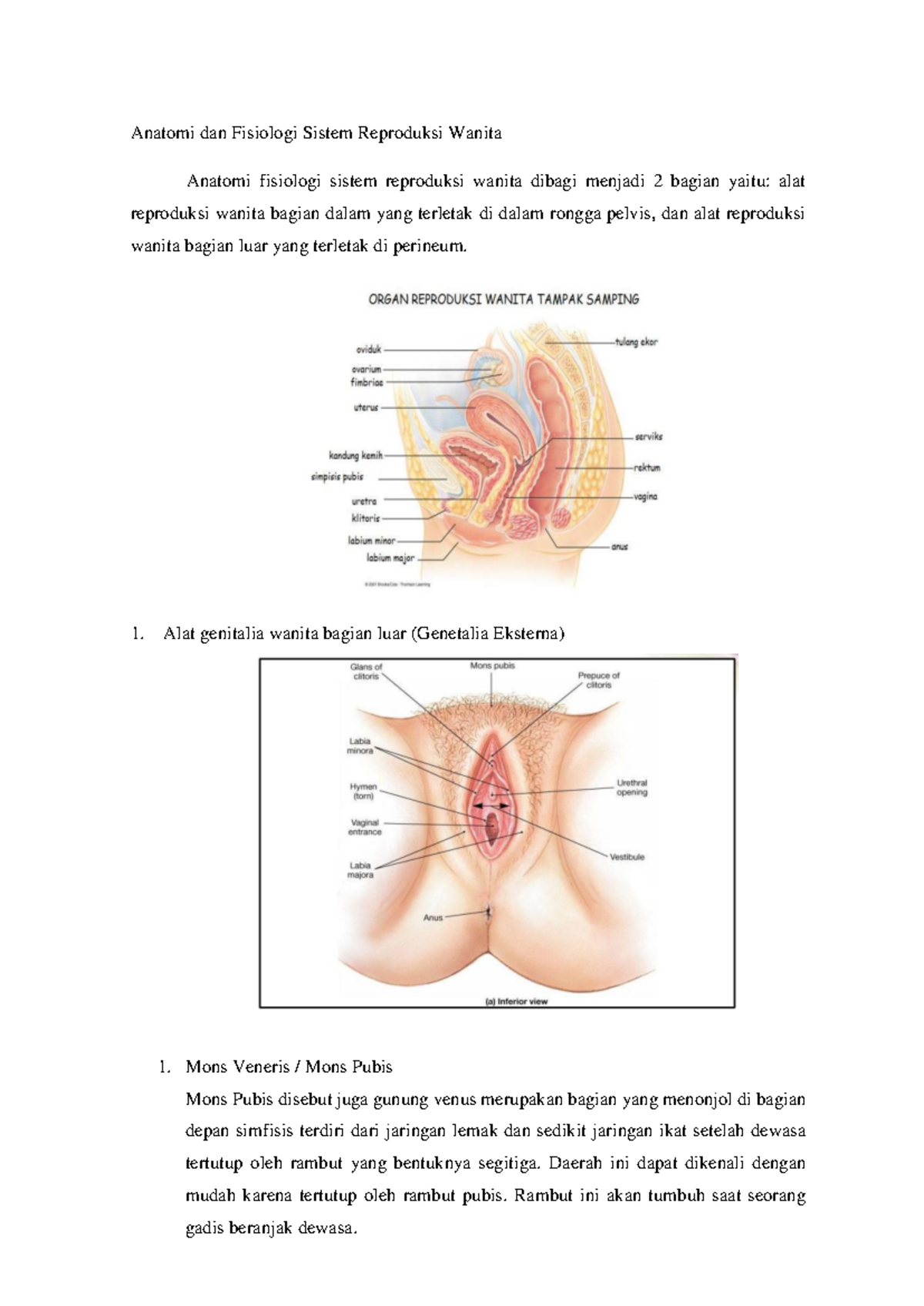 Ozining eng yaxshi pornosida etuk ayol