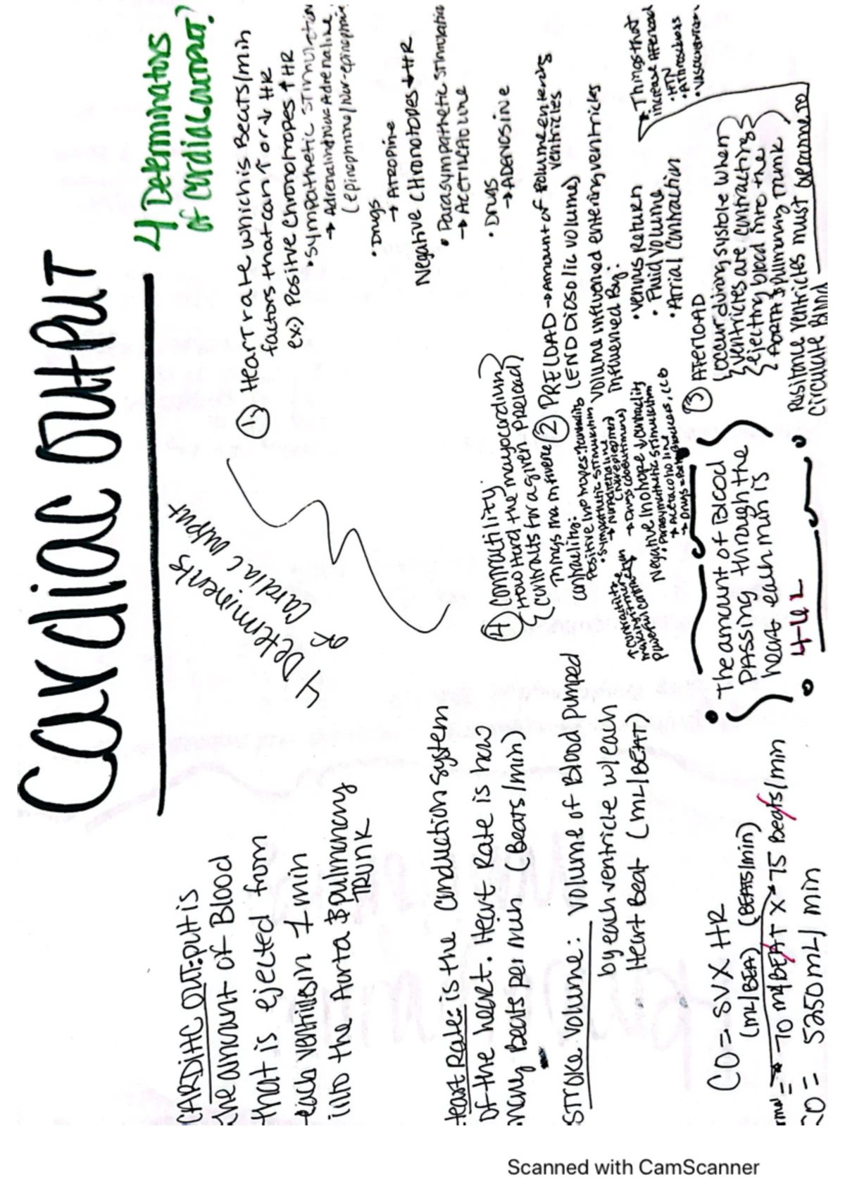 Guided Reflection on Christopher Parrish Case Study (NUR 302) - Studocu