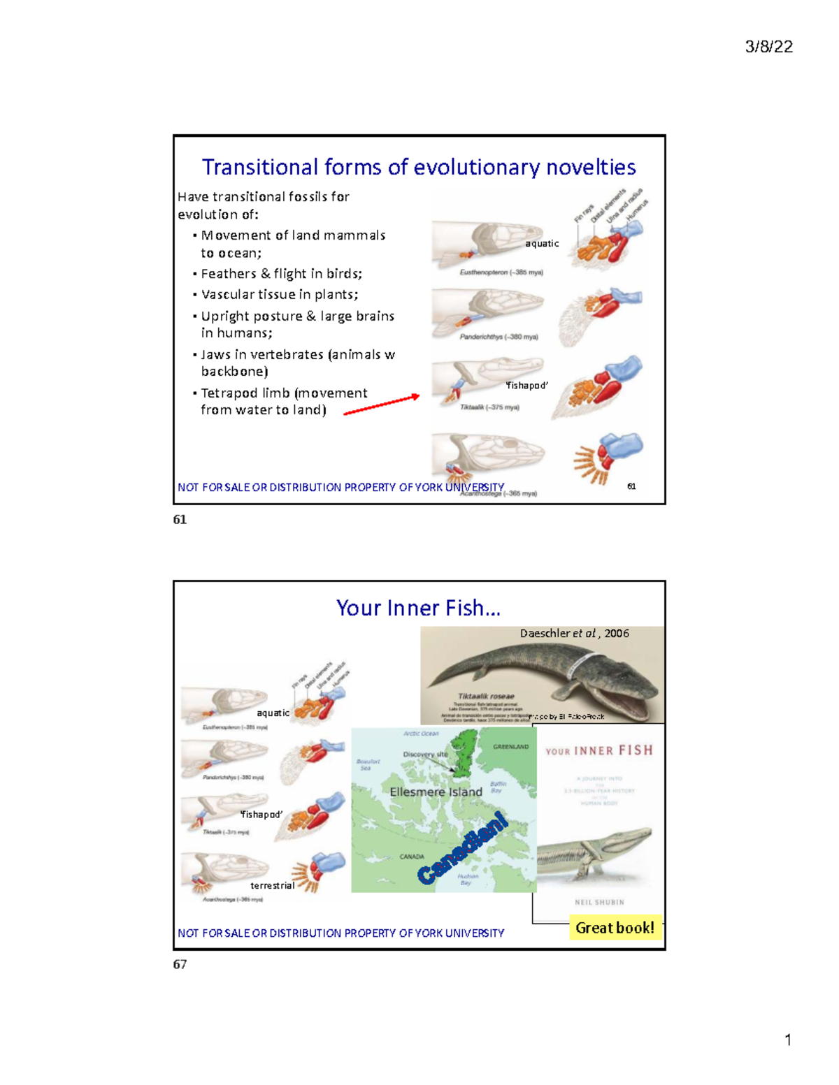 8b Transitional Fossils and Exaptations in Evolutionary Novelties - Studocu
