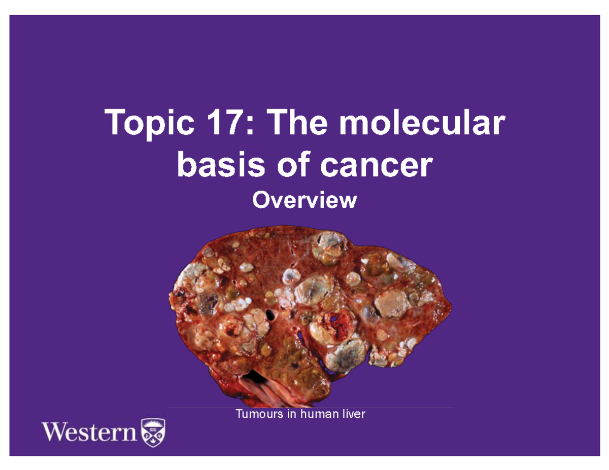 Topic 17: Molecular Basis of Cancer - Lecture Notes 2024 - Studocu