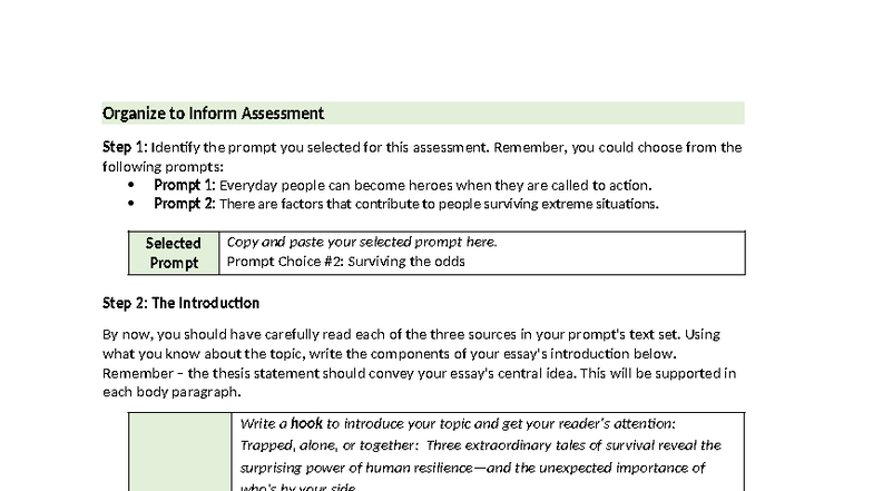 Organize to Inform Assessment: Surviving the Odds Essay Guide - Studocu