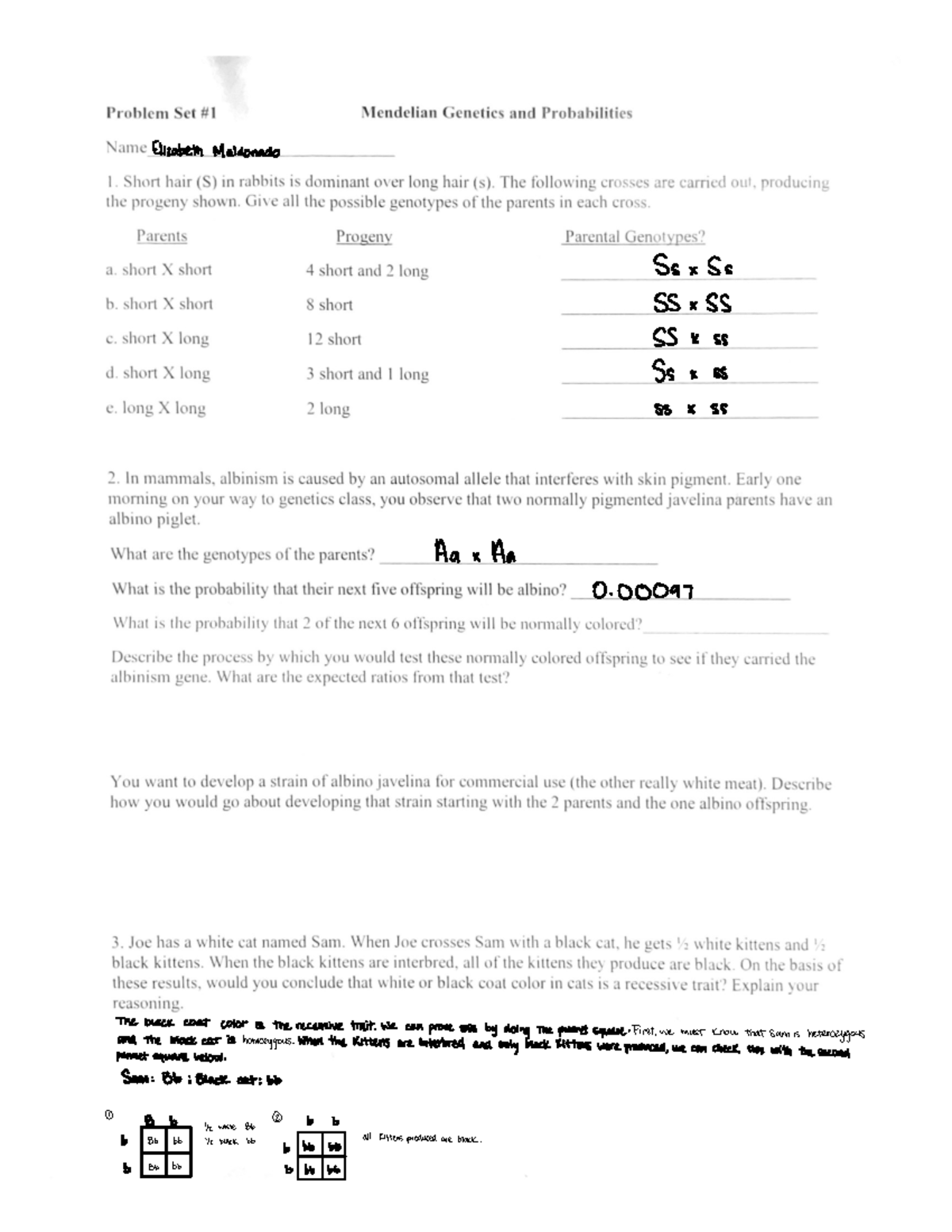 Problem Set #1 - Genetics Concepts with Dr. Kidd - Studocu