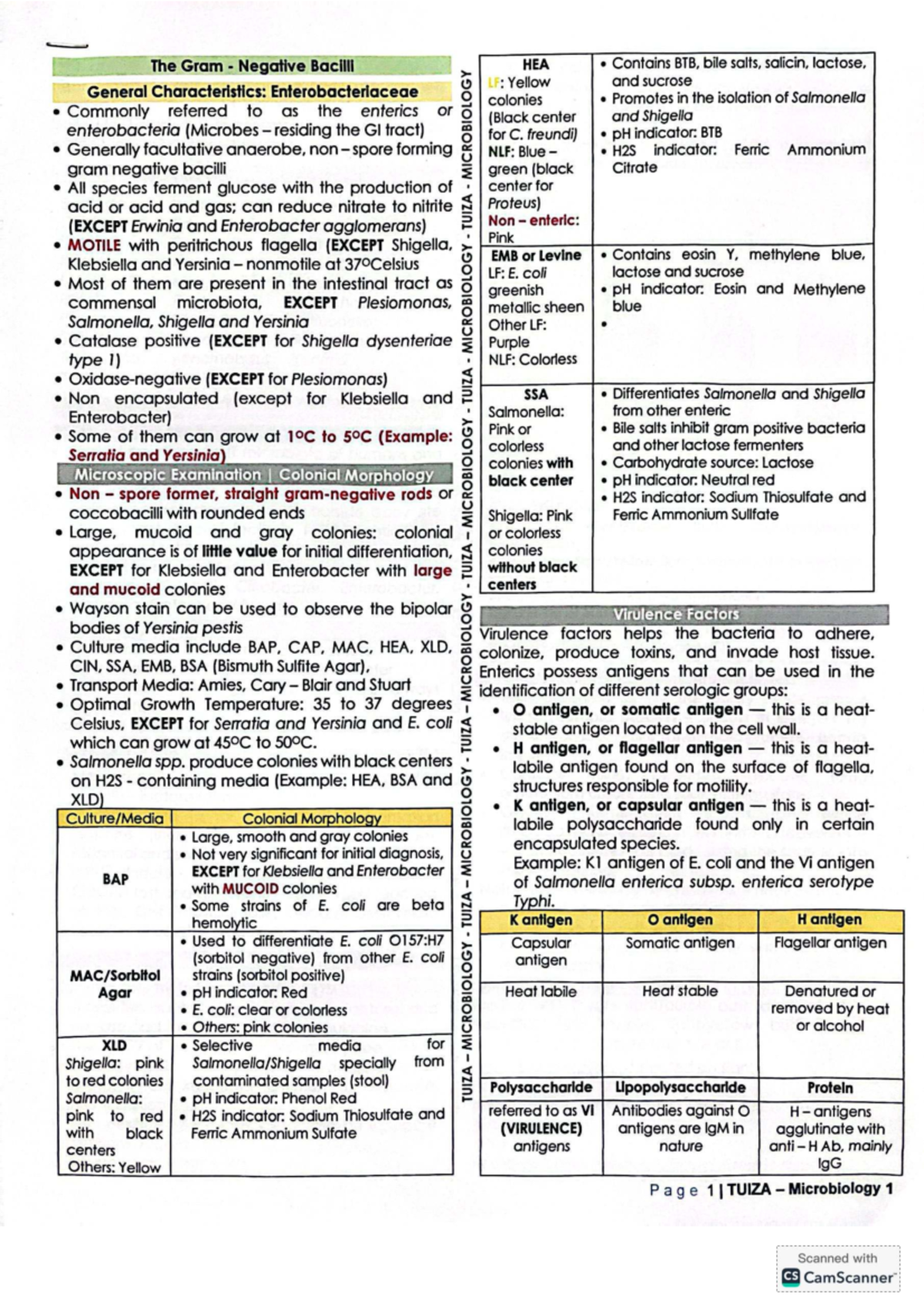 Microbiology Study Guide: Enterobacteriaceae Characteristics and ...