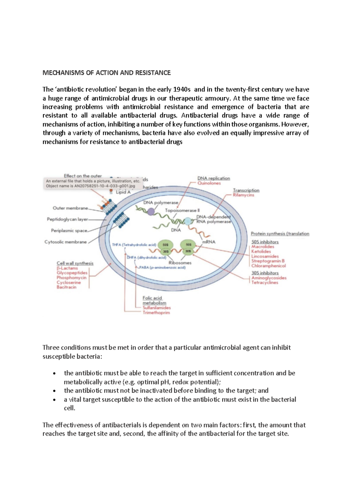 Antimicrobial Resistance - MECHANISMS OF ACTION AND RESISTANCE The ...