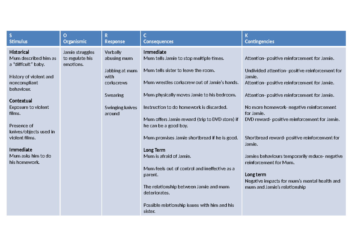SORC Table Analysis: Emotional Regulation & Reinforcement in Jamie's ...