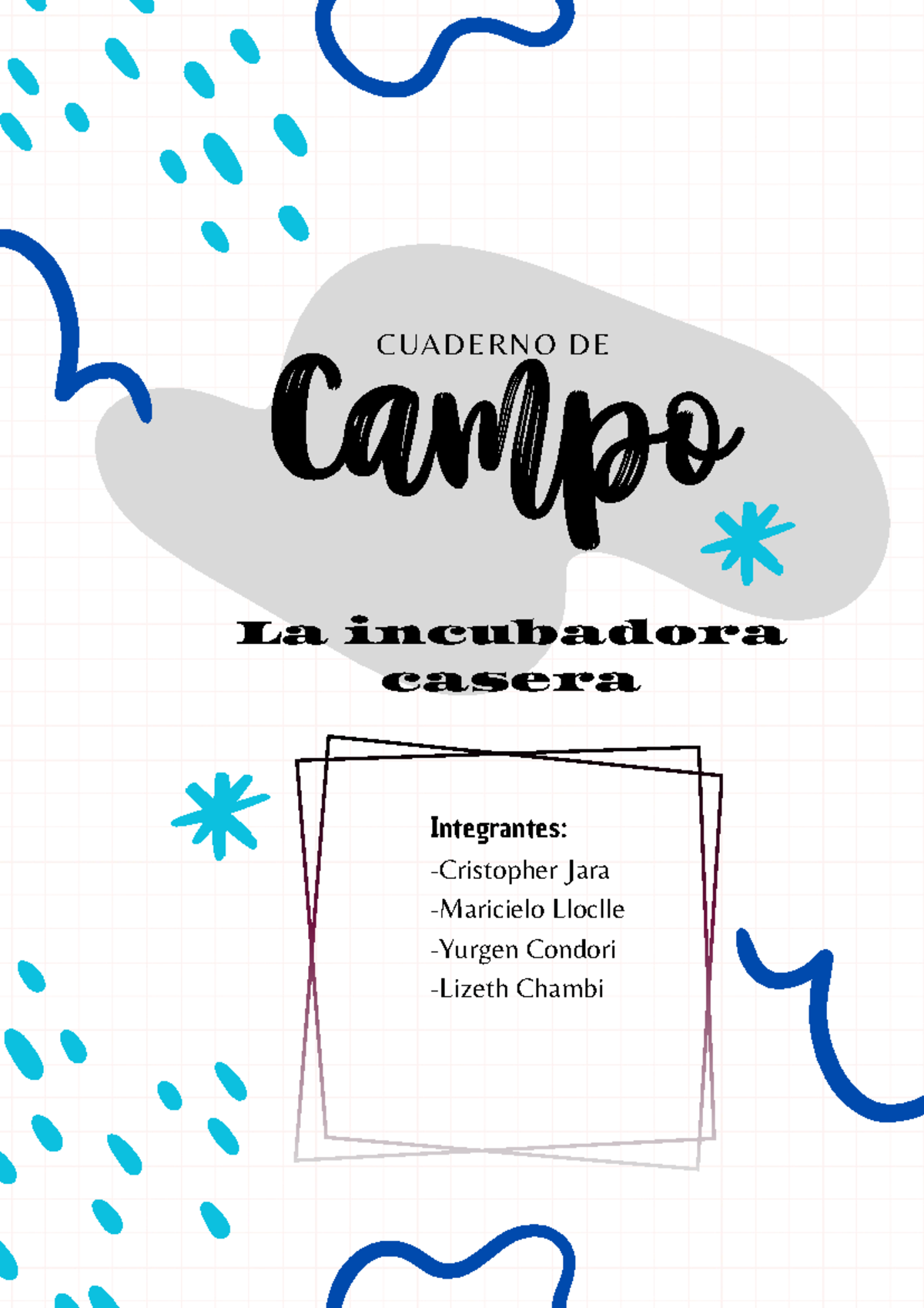 Cuaderno de Campo: Incubadora Casera y Proceso de Eclosión - Document Preview