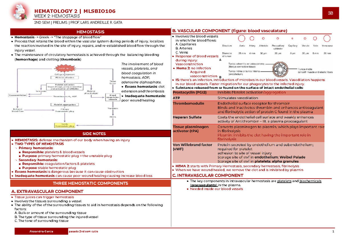 HEMATOLOGY 2 MLSBIO106 3B WEEK 2: HEMOSTASIS PRELIMS NOTES - Studocu