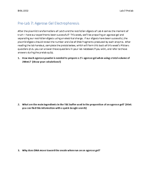 Experiment 17 - concept - 232 EXPERIMENT 17 Equilibria and the ...