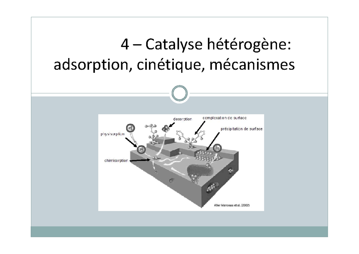 Étude de la Catalyse Hétérogène : Adsorption et Mécanismes de Réaction ...