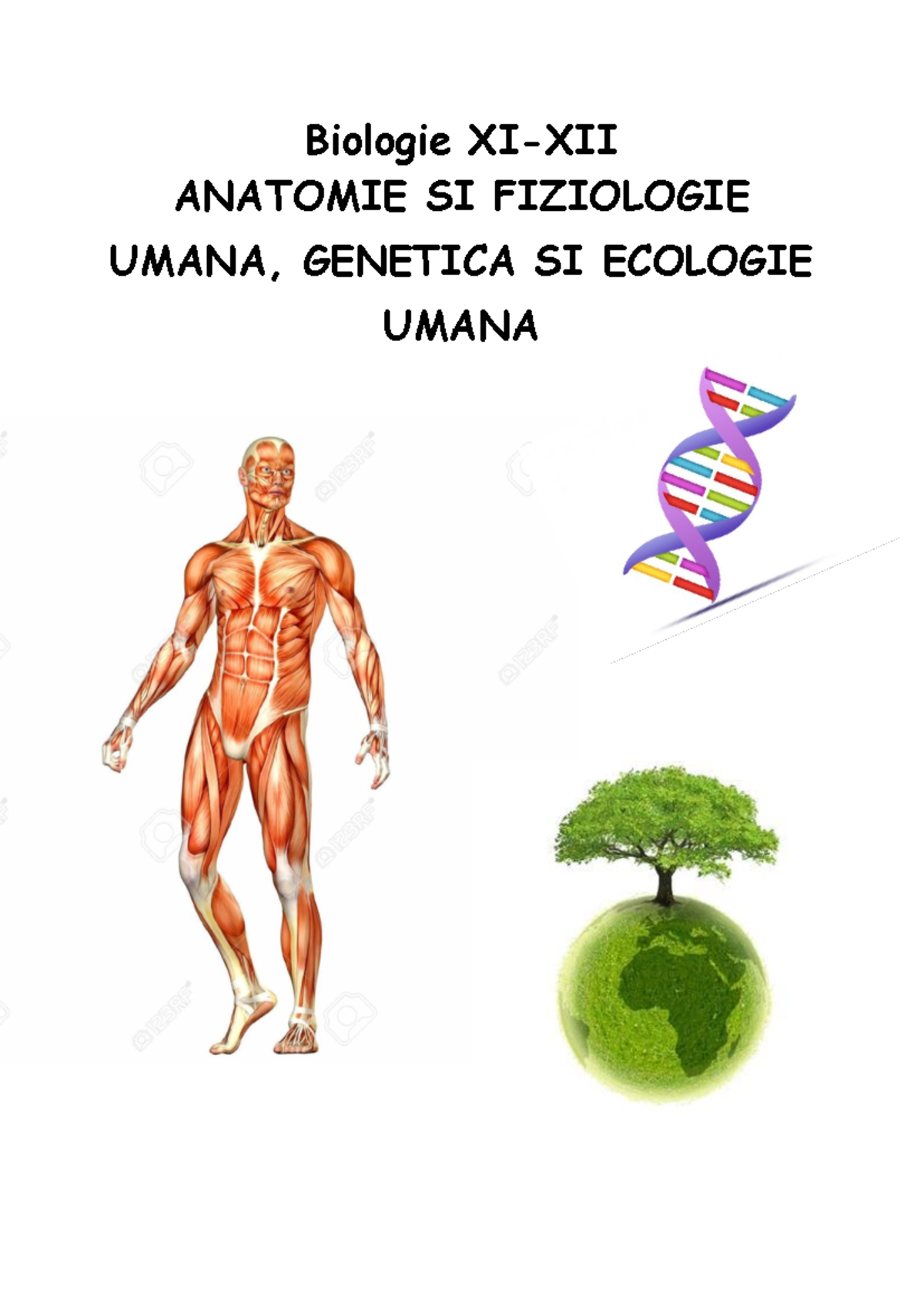 Biologie XI-XII: Anatomie și Fiziologie Umană pentru Bac - Document Preview