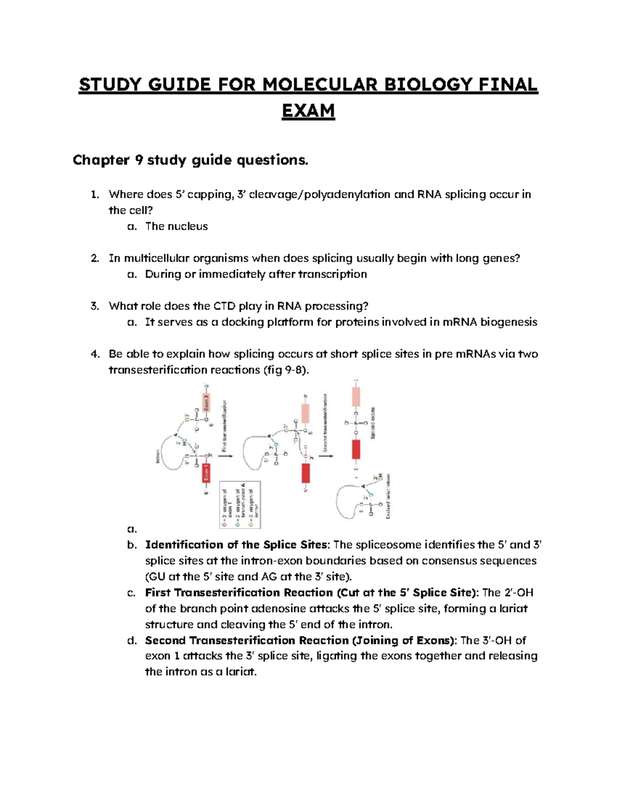 Molecular Biology (BIO301) Final Exam Study Guide & Key Concepts - Studocu