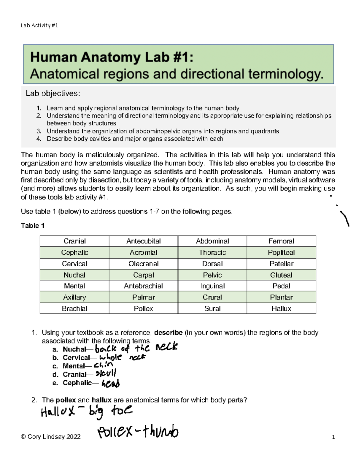 Human Anatomy Lab #1: Anatomical Regions & Terminology - Studocu