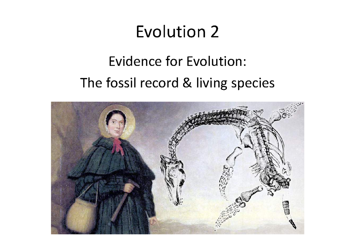 Evolution 2: Comparative Anatomy & Evidence for Evolution Concepts ...