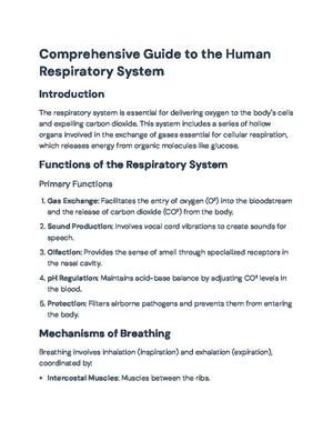 Pg539 Study Guide: Chapter 22 - The Respiratory System Notes - Studocu