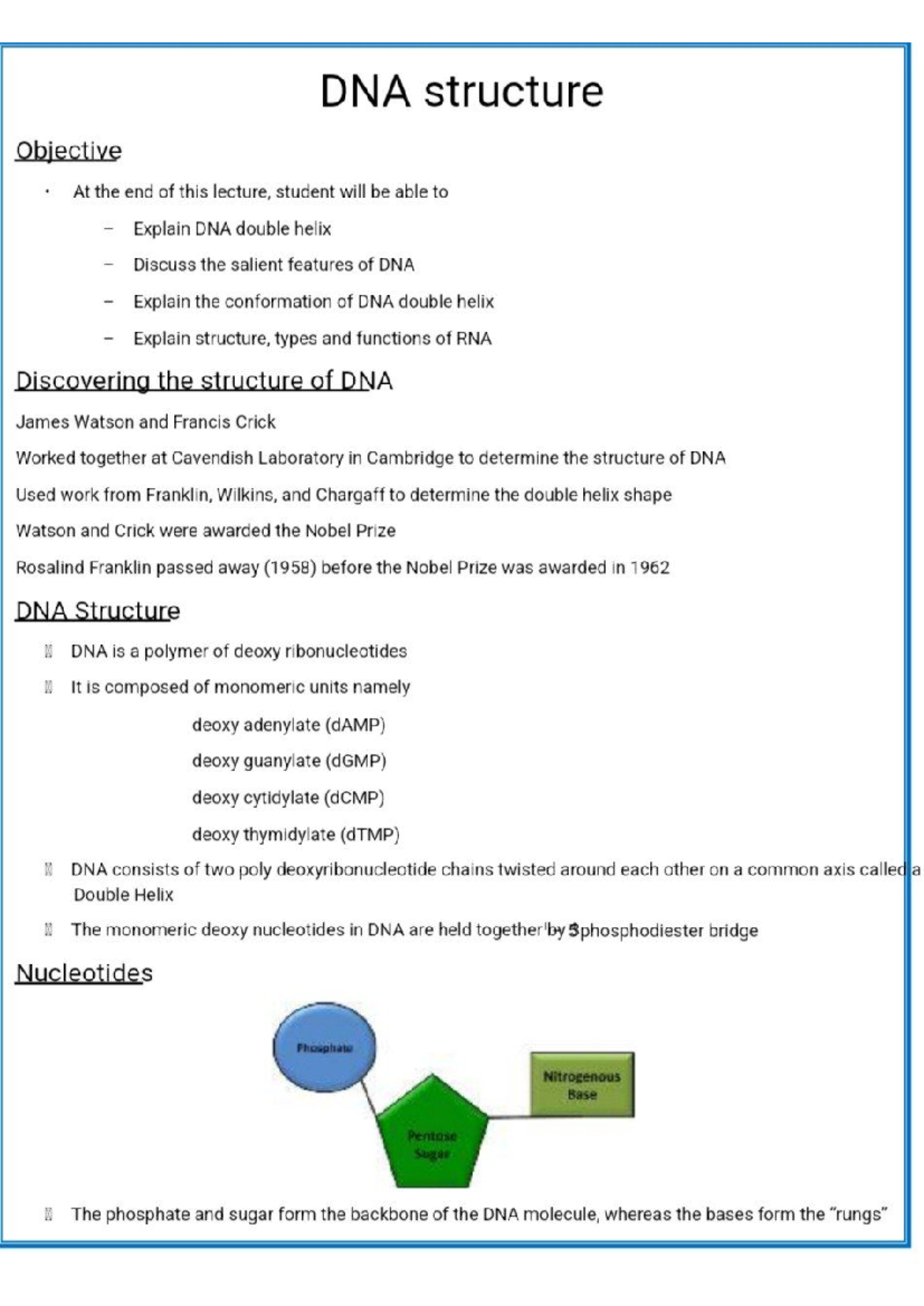 DNA structure lecture notes: Understanding the double helix and RNA ...