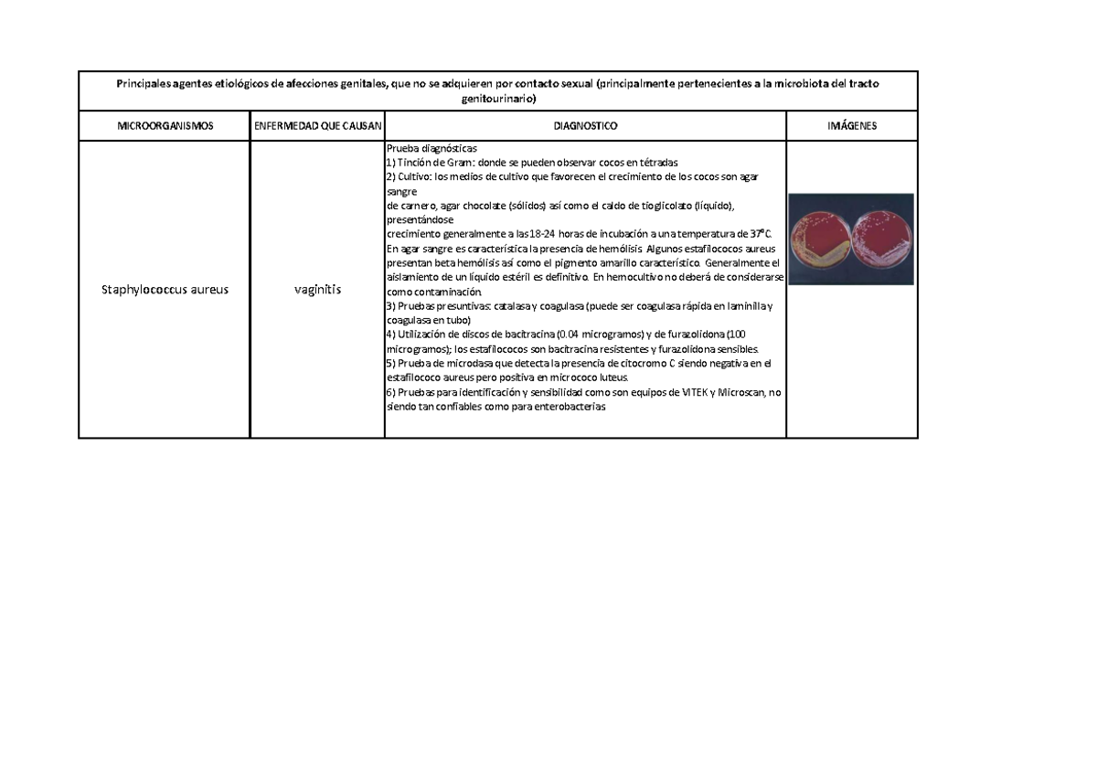 VIDEO: La grave e impactante infección que dejó fuera a Paulo Costa del UFC  294 – MMArts.net, image size:1200x849