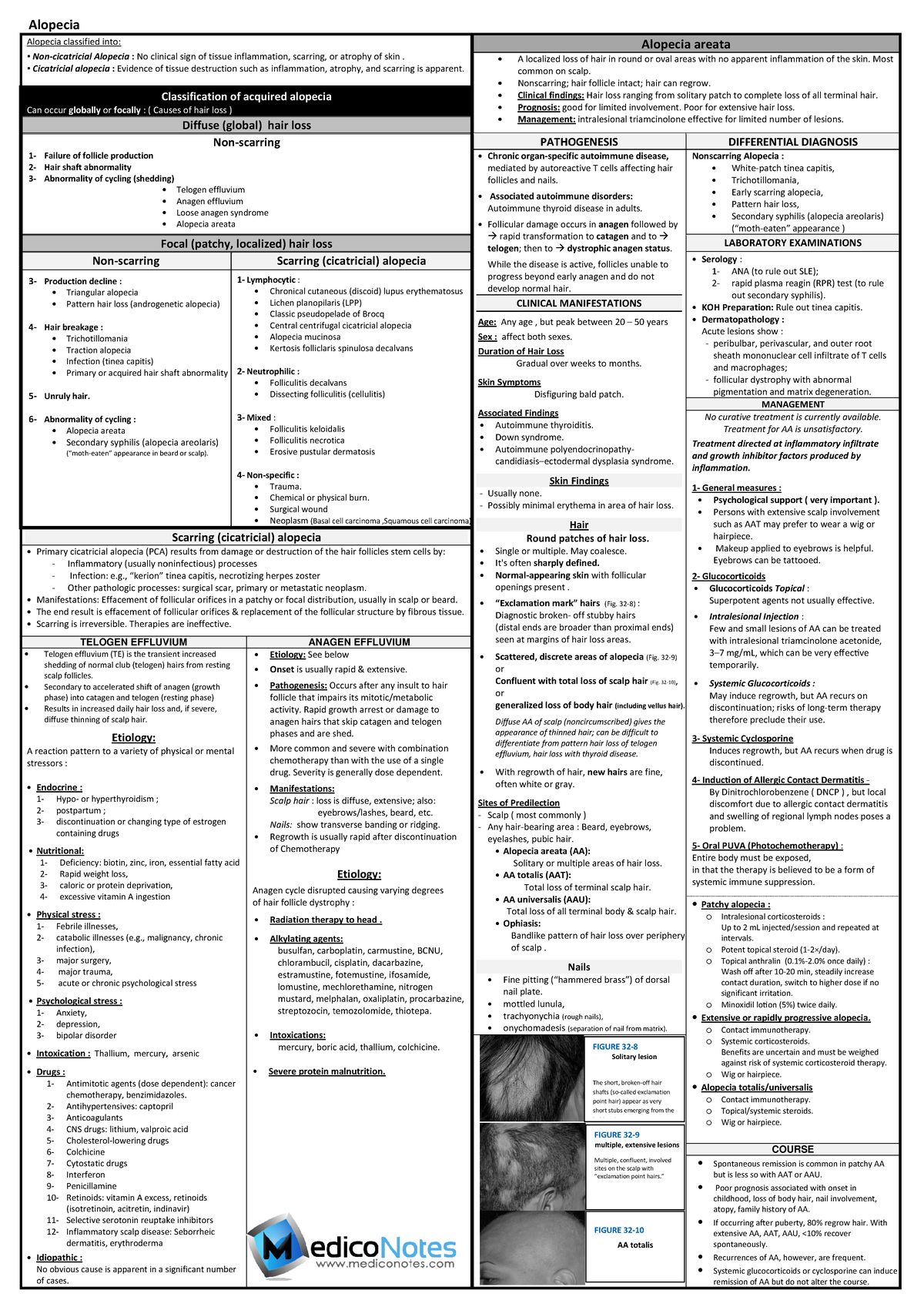 Alopecia summary dermatology classification of alopecia - Medical and ...