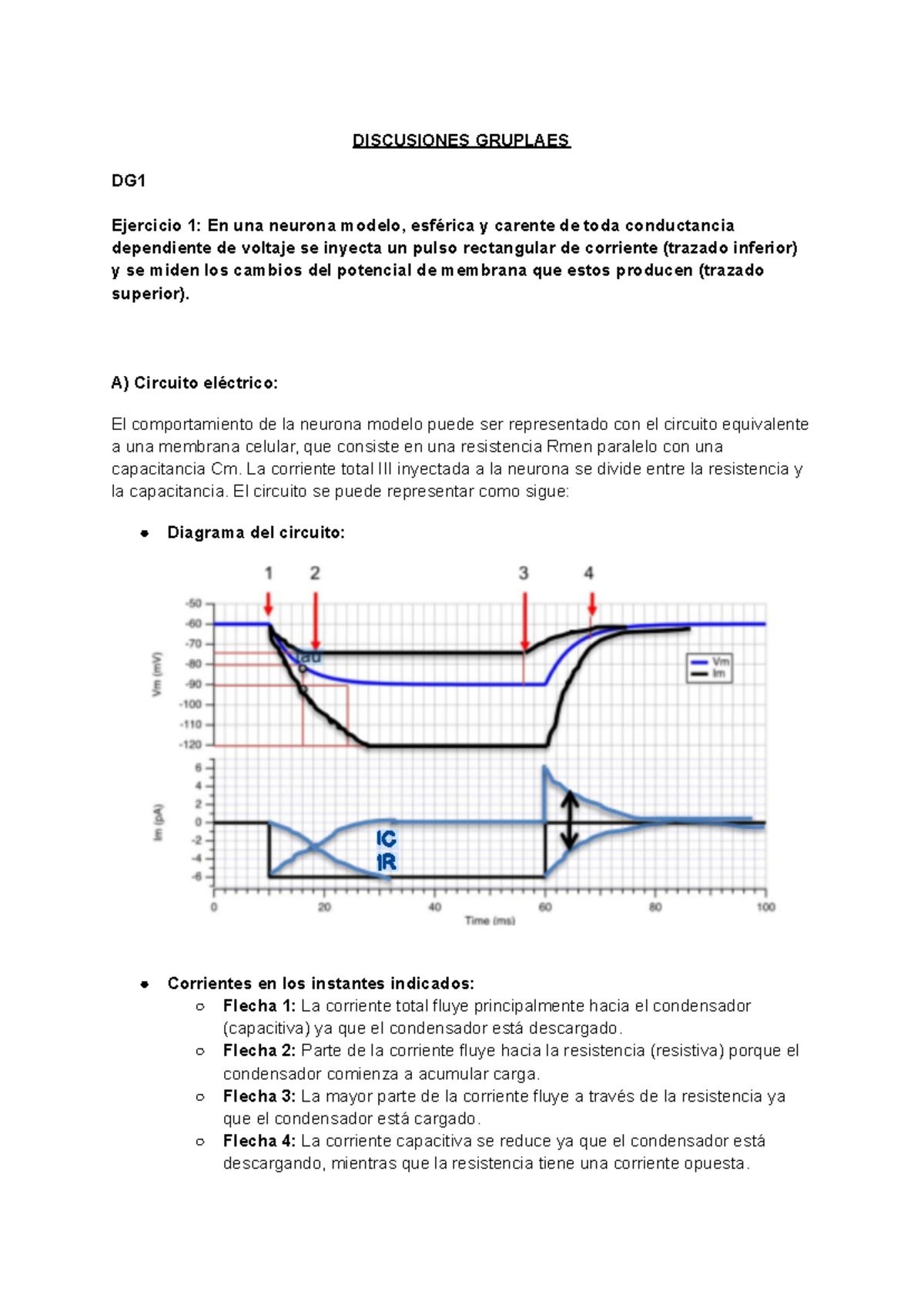 Discusiones Grupales sobre el Potencial de Acción en Neuronas - Document Preview