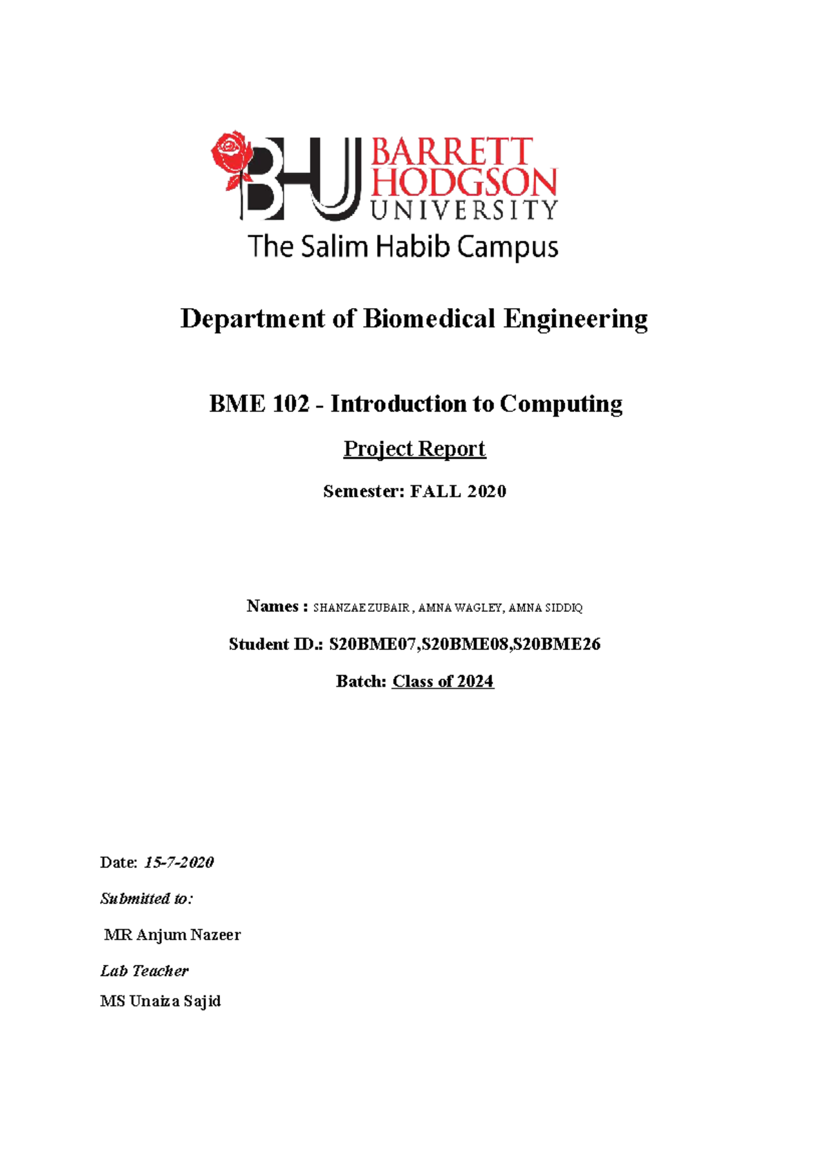 BME 102 Project Report: Object-Oriented Hospital Database Management ...