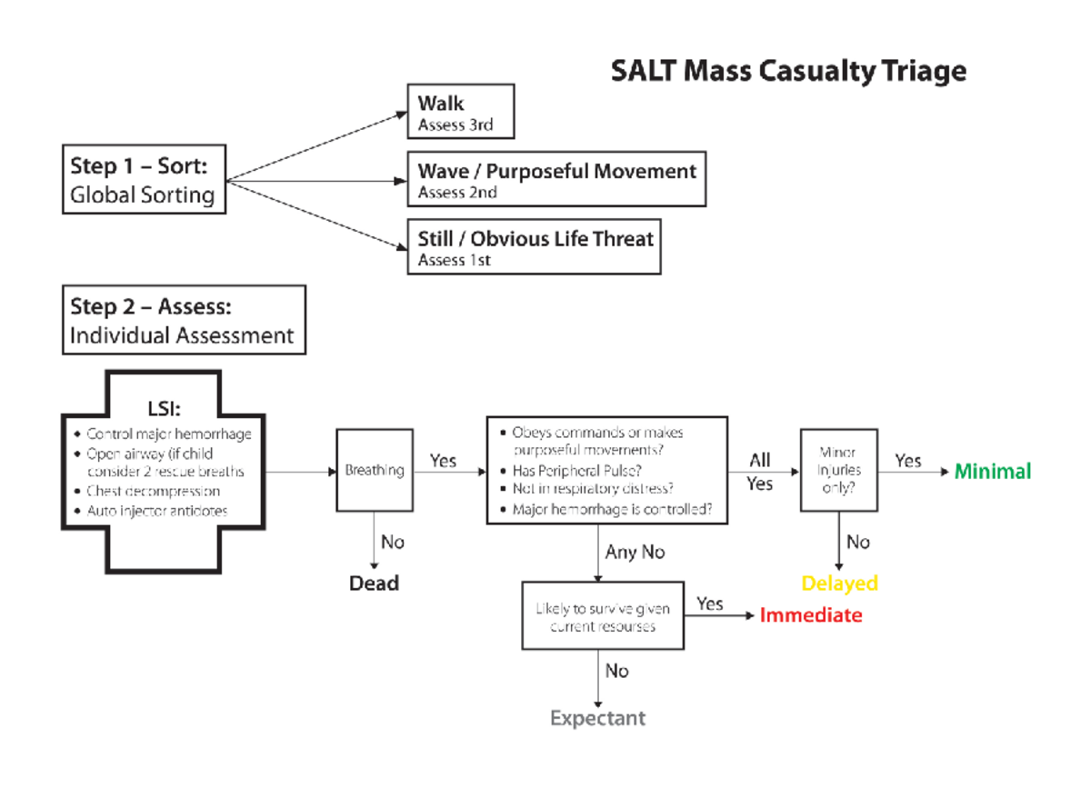 SALT Mass Casualty Triage 1731864070 - SALT Mass Casualty Triage Walk ...