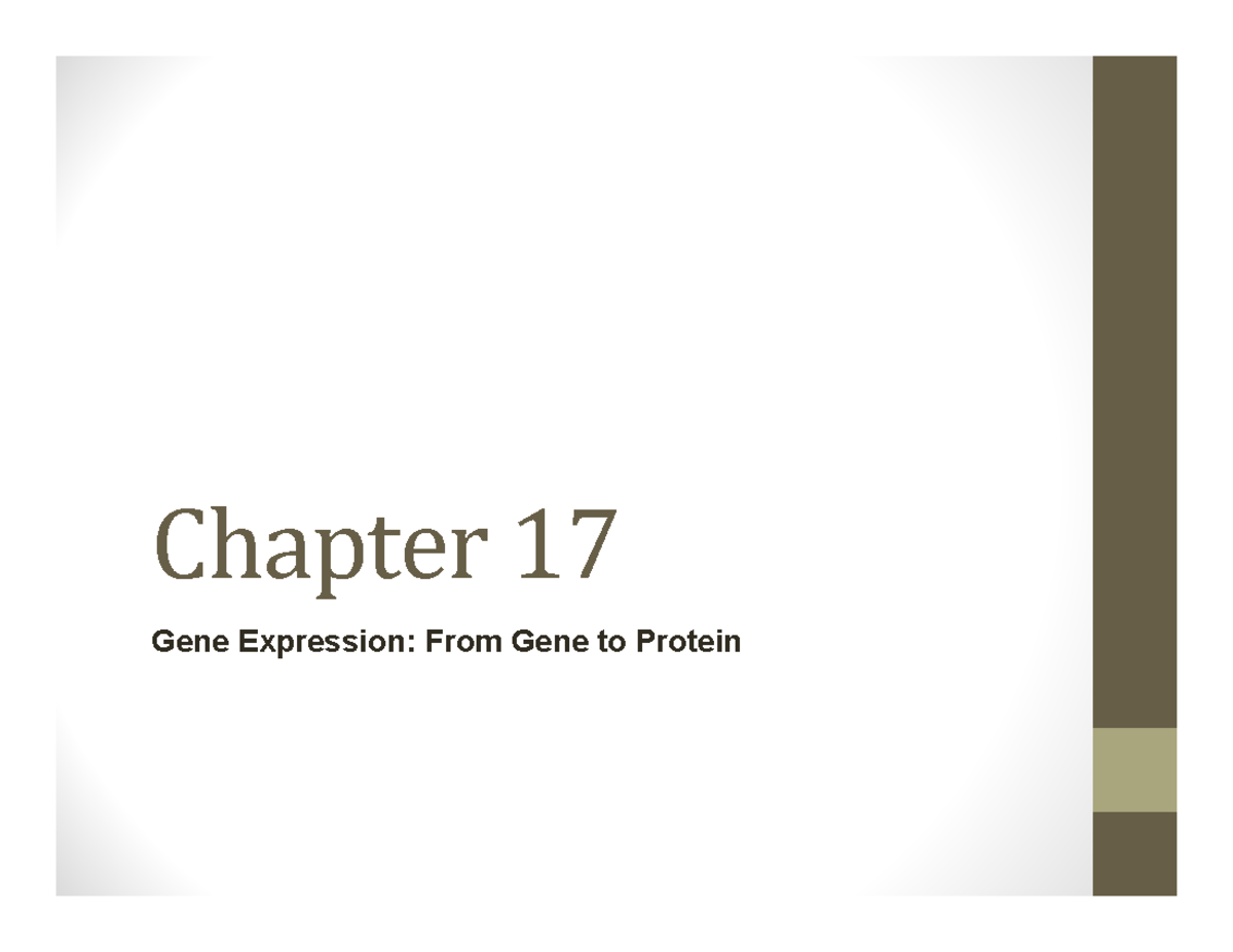 Gene Expression: Transcription, Translation, and RNA Processing (BIOL ...