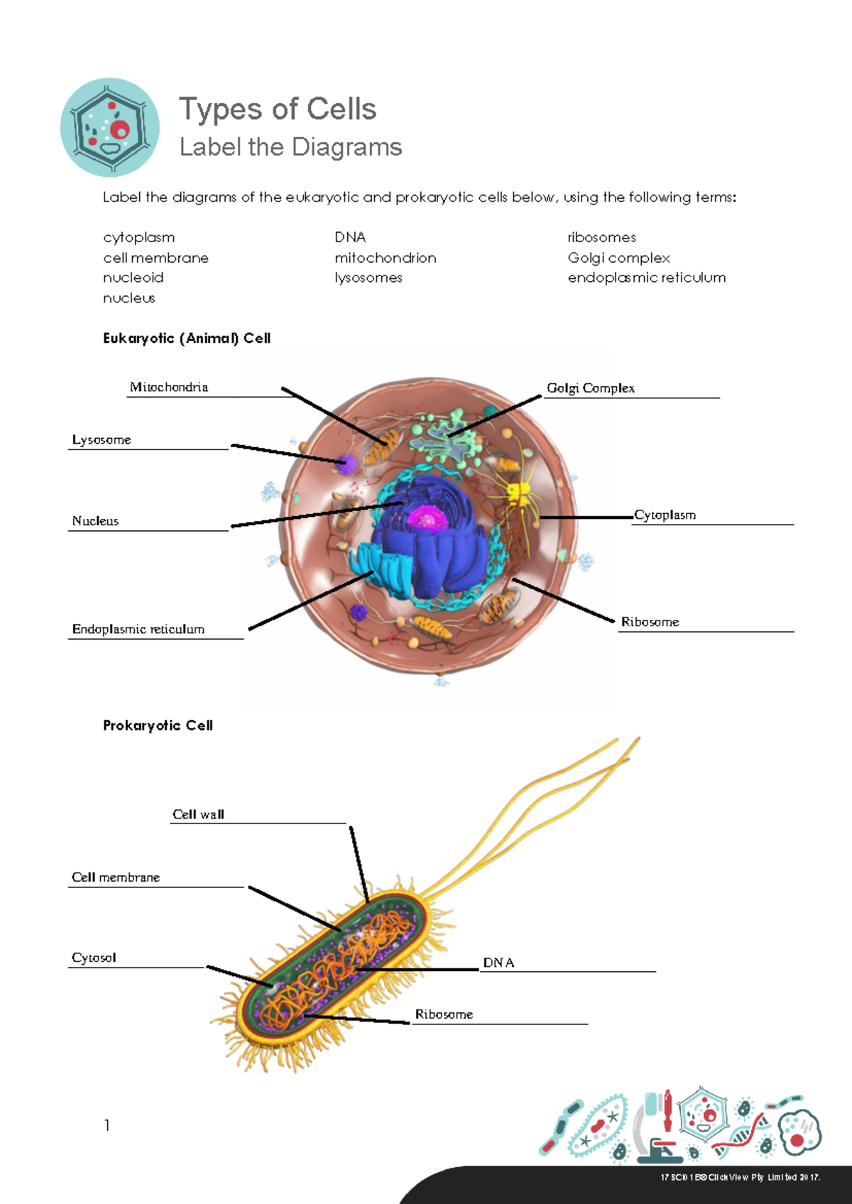 1.2 Types of cells Diagrams - 1 Types of Cells Label the Diagrams ...