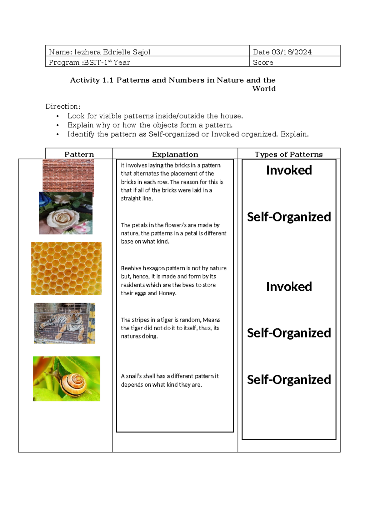 Activity 1.1: Patterns and Numbers in Nature - BSIT 1st Year - Studocu