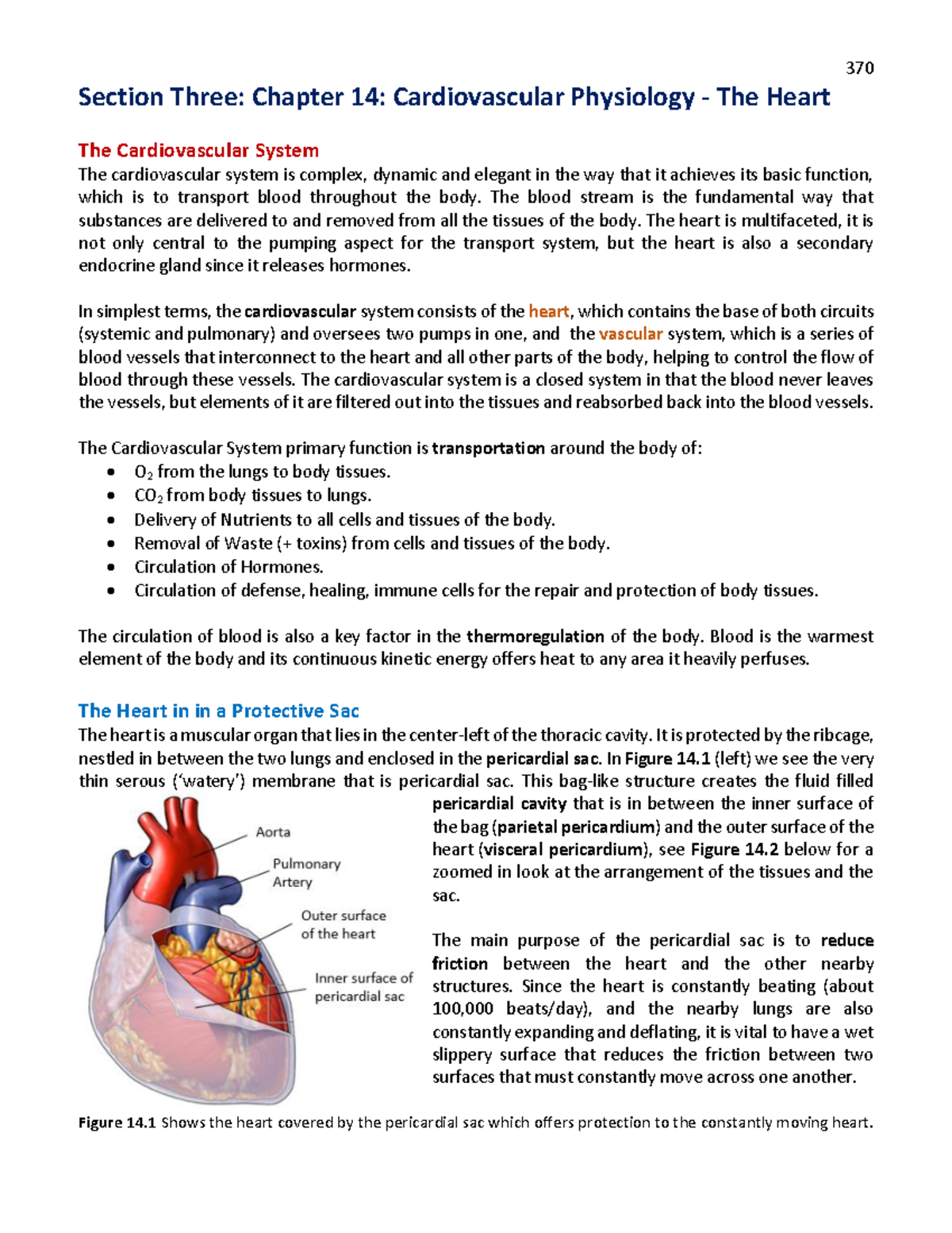 370 Physiol Text Ch 14: Cardiovascular Physiology - The Heart & System ...