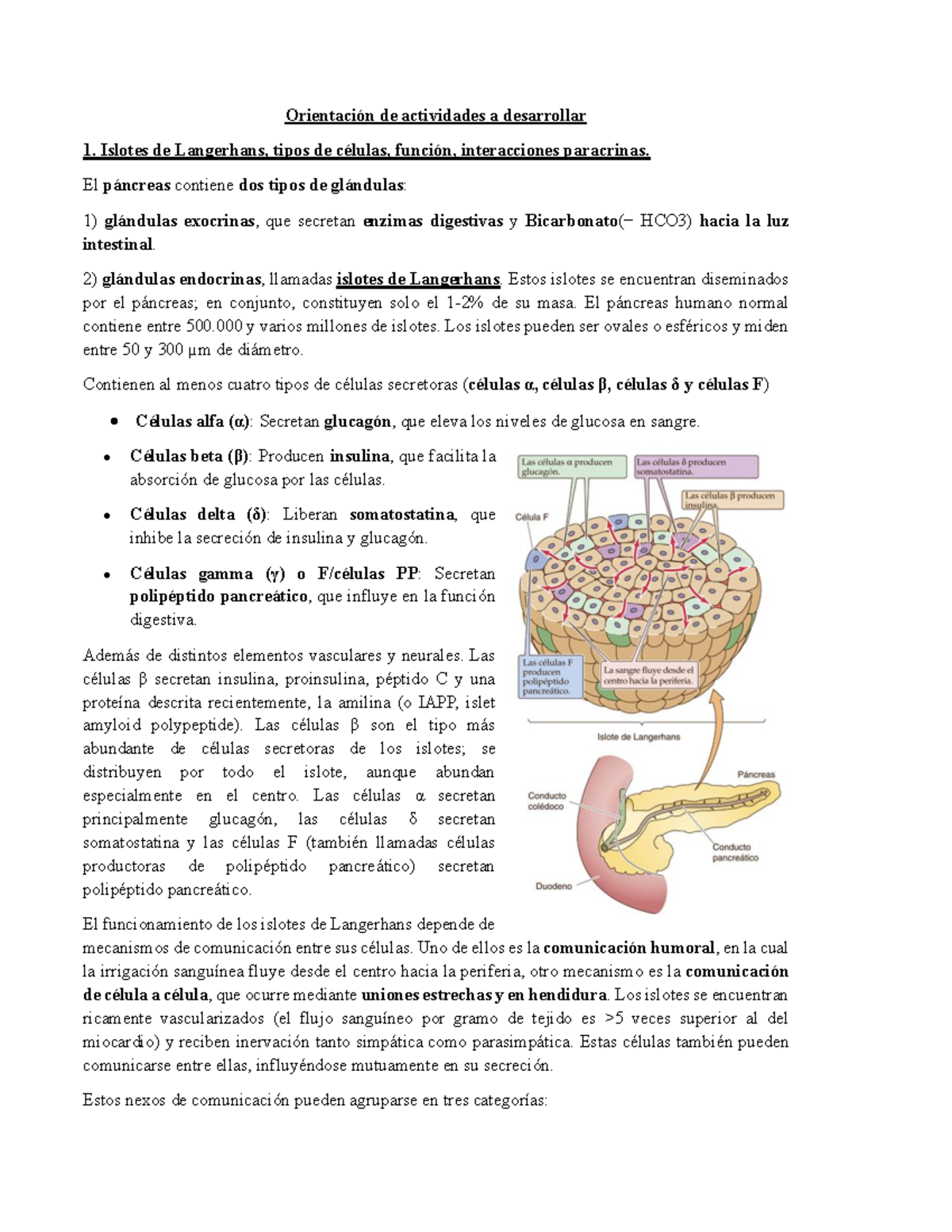 Fisiología 8 2025 - Resumen sobre Islotes de Langerhans y Regulación de ...