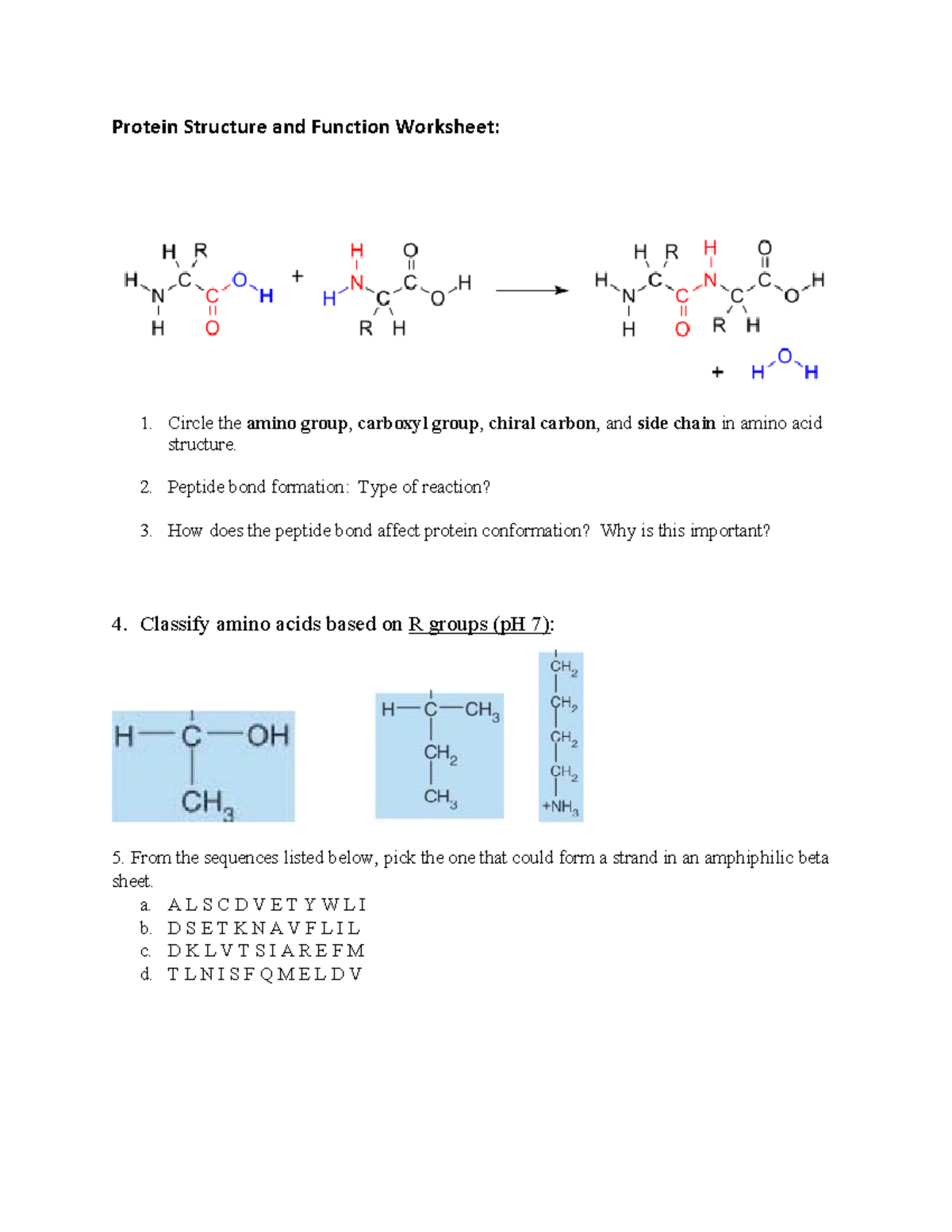 Protein Structure and Function Worksheet: Review IC - Studocu
