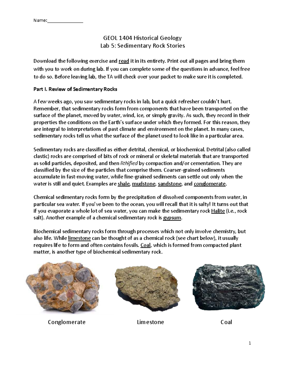 Biochemical Sedimentary Rocks Are Made From