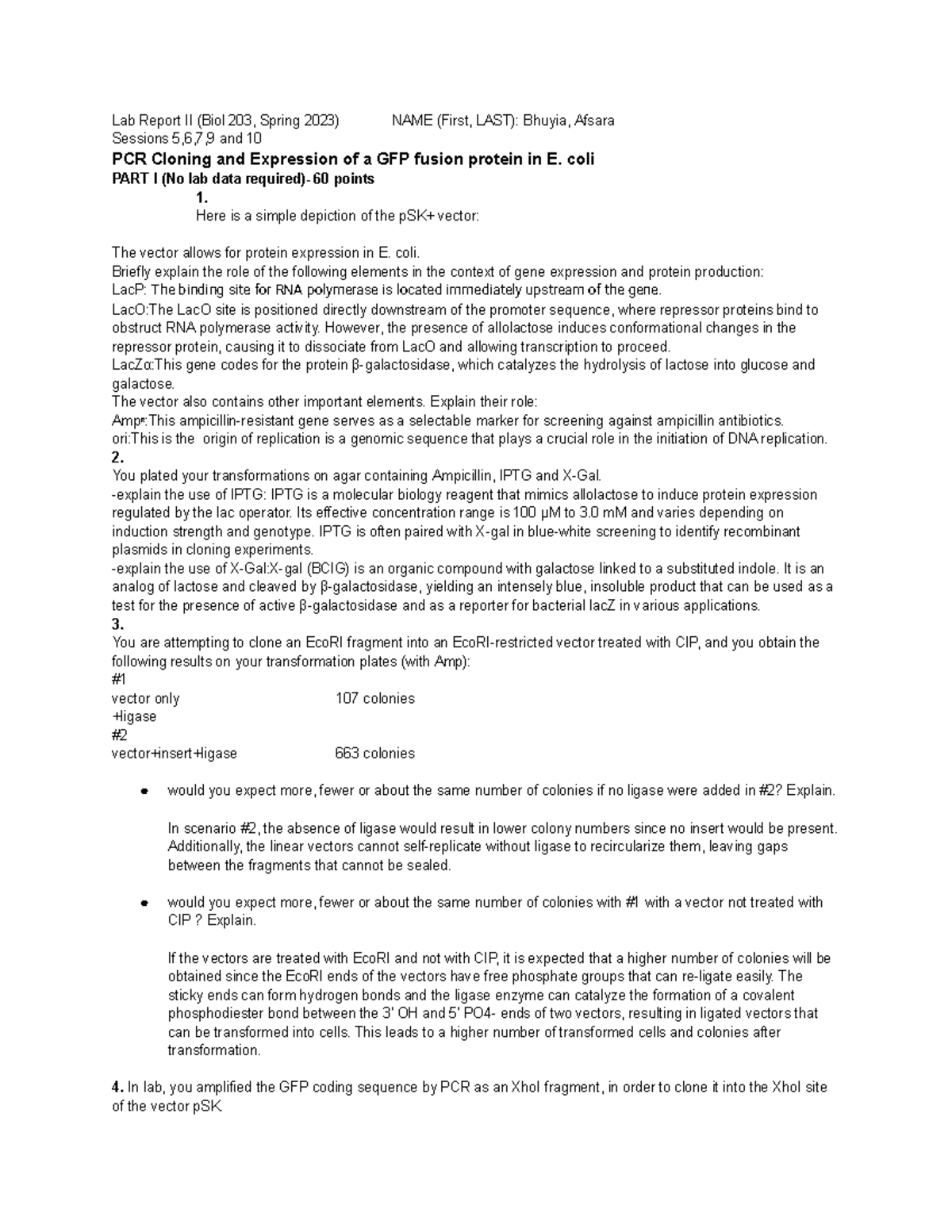 Lab Report II - PCR Cloning & Expression of GFP in E. coli (Biol 203 ...
