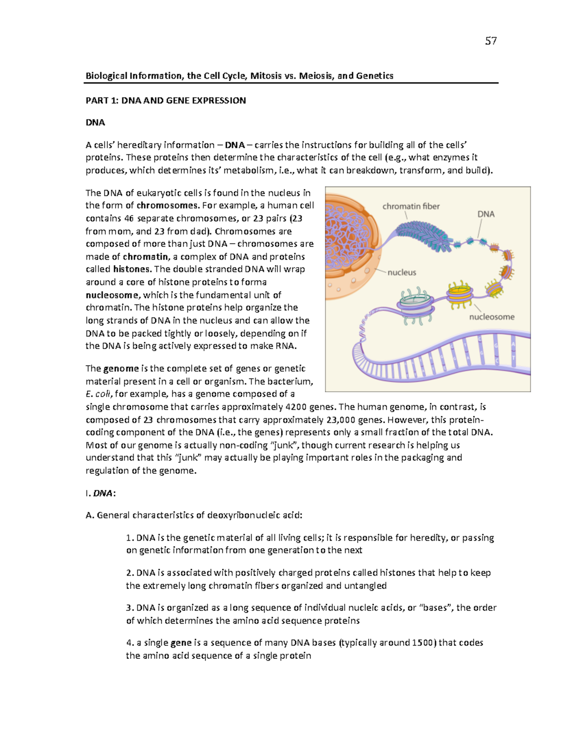 5 DNA and Gene Expression - Biological Information, the Cell Cycle ...