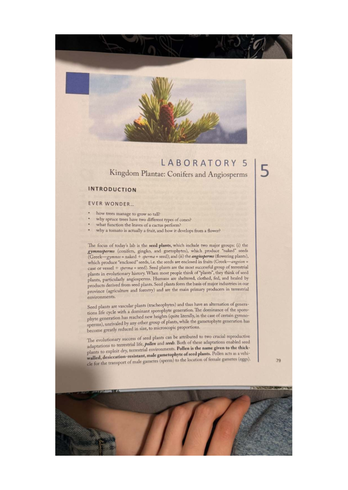 LAB 5: Kingdom Plantae - Exploring Conifers and Angiosperms - Studocu