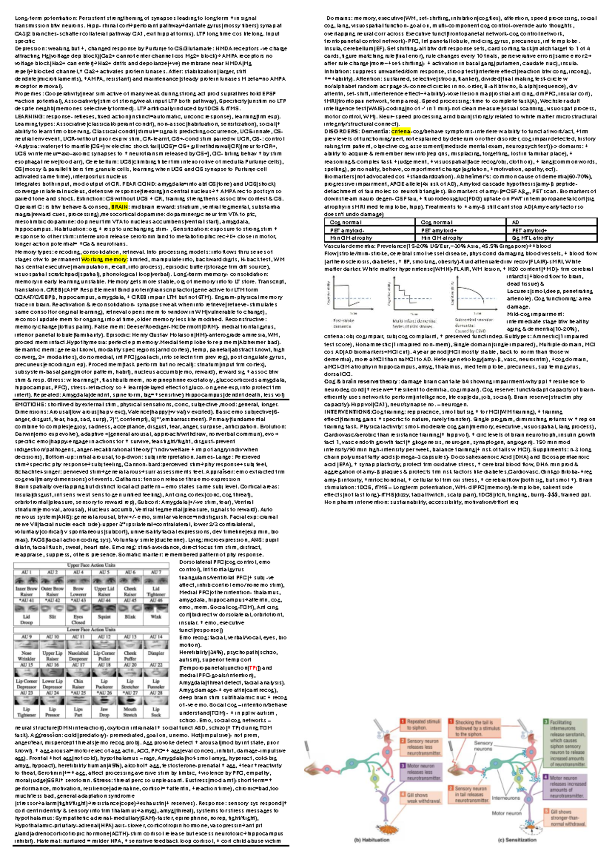 Biopsych 101 Final Exam Cheatsheet: Key Concepts & Terms - Studocu