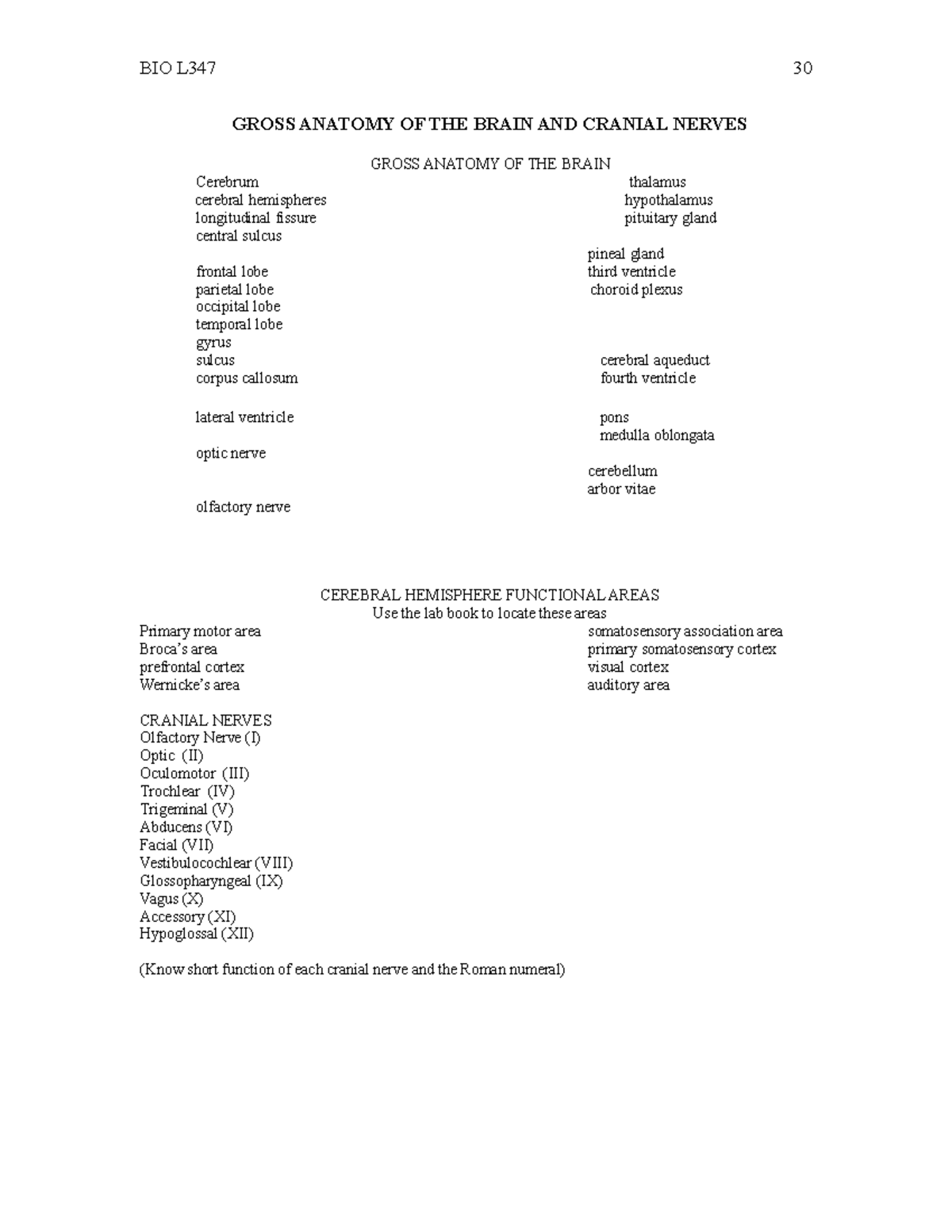 Gross Anatomy OF THE Brain AND Cranial Nerves - BIO L347 30 GROSS ...
