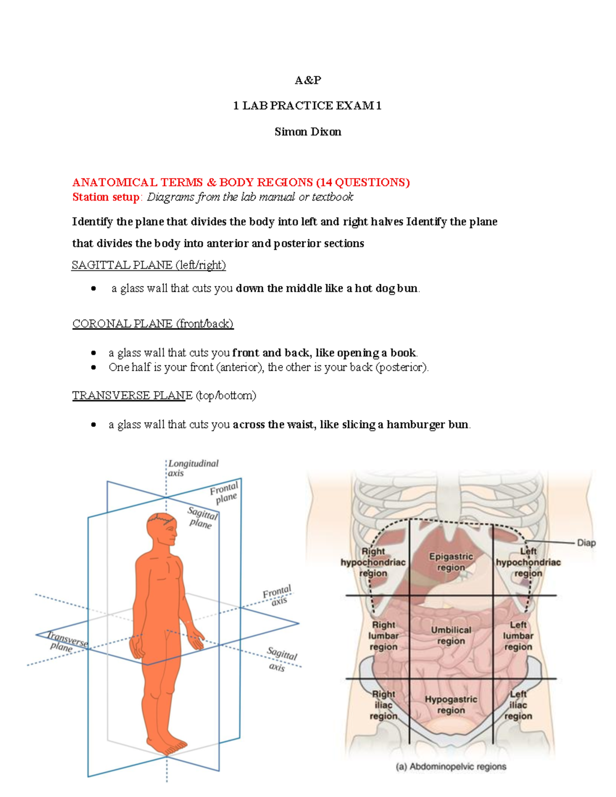 A&P LAB PRACTICE EXAM 1: TISSUE TYPES & BODY REGIONS REVIEW - Studocu