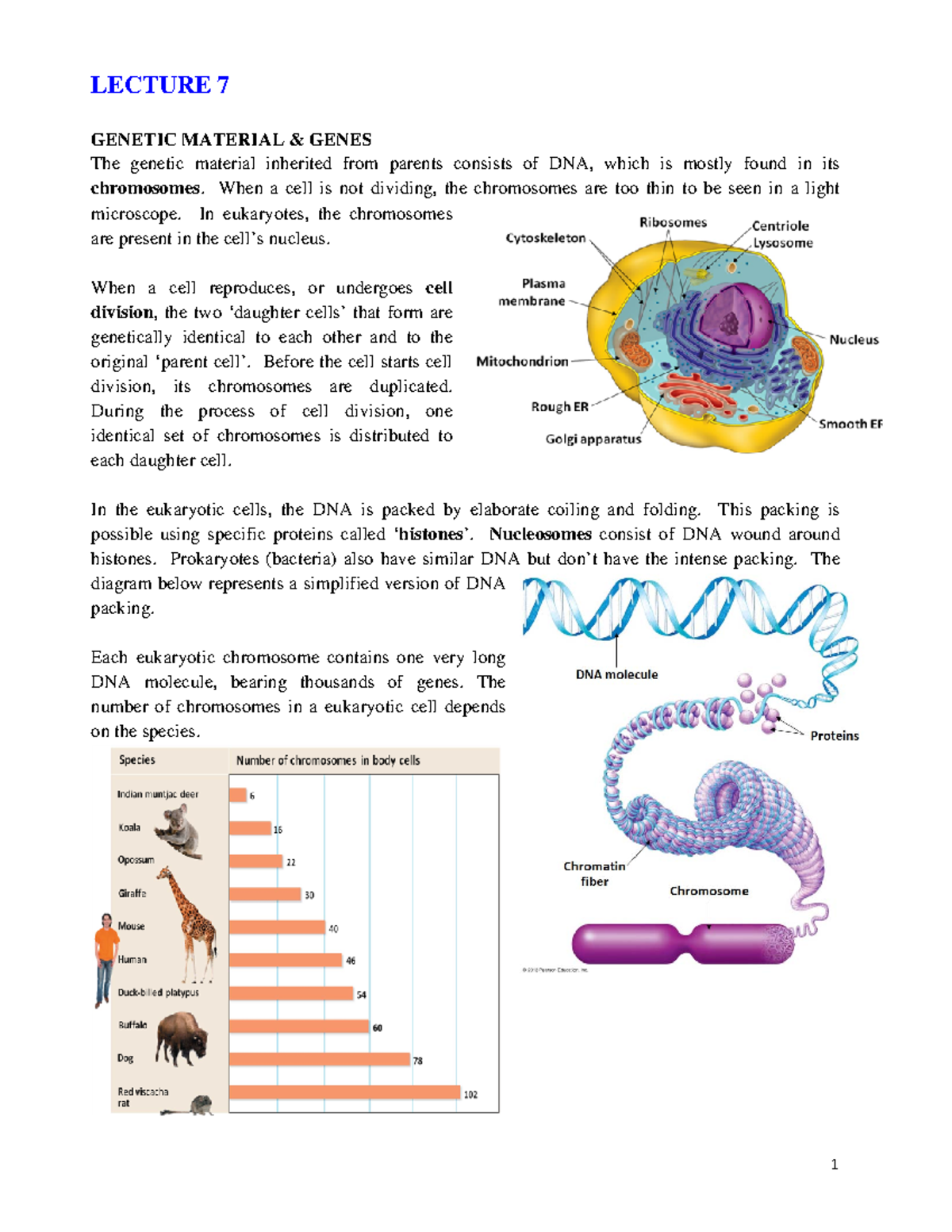 Genetics Summary: Lecture Notes on Heredity (BIOL 101) - Studocu