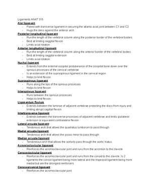 Final exam blood supply UL diagram - aorta superior epigastrica ...