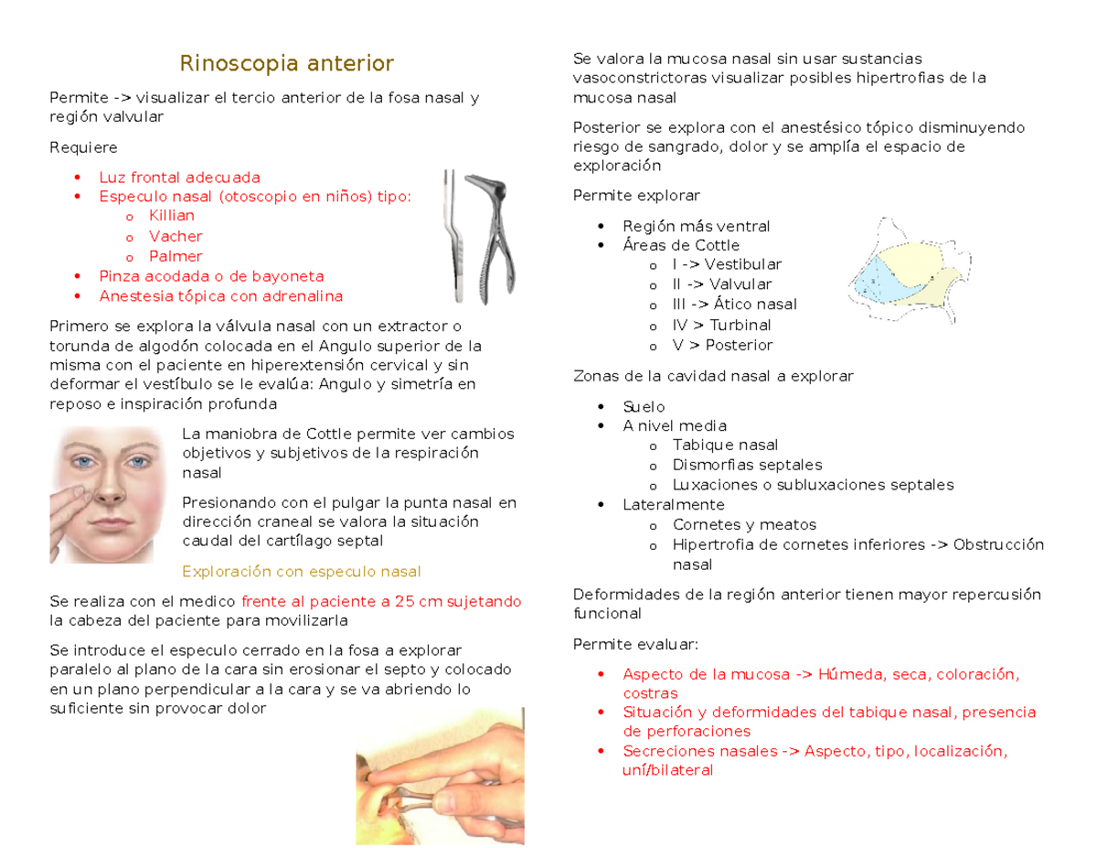 Rinoscopia Anterior y Epistaxis: Apuntes Completo para Estudio - Studocu