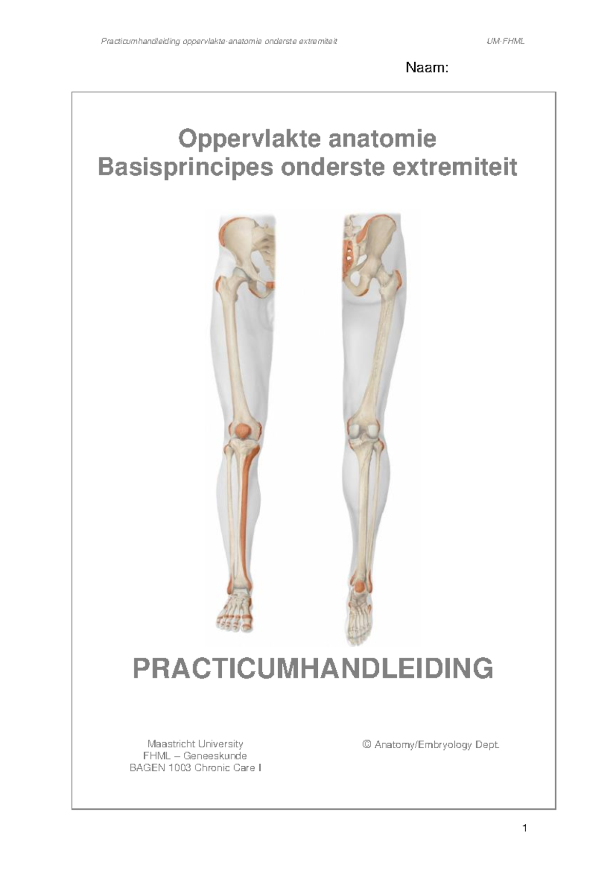Practicumhandleiding Oppervlakte Anatomie Onderste Extremiteit BAGEN 