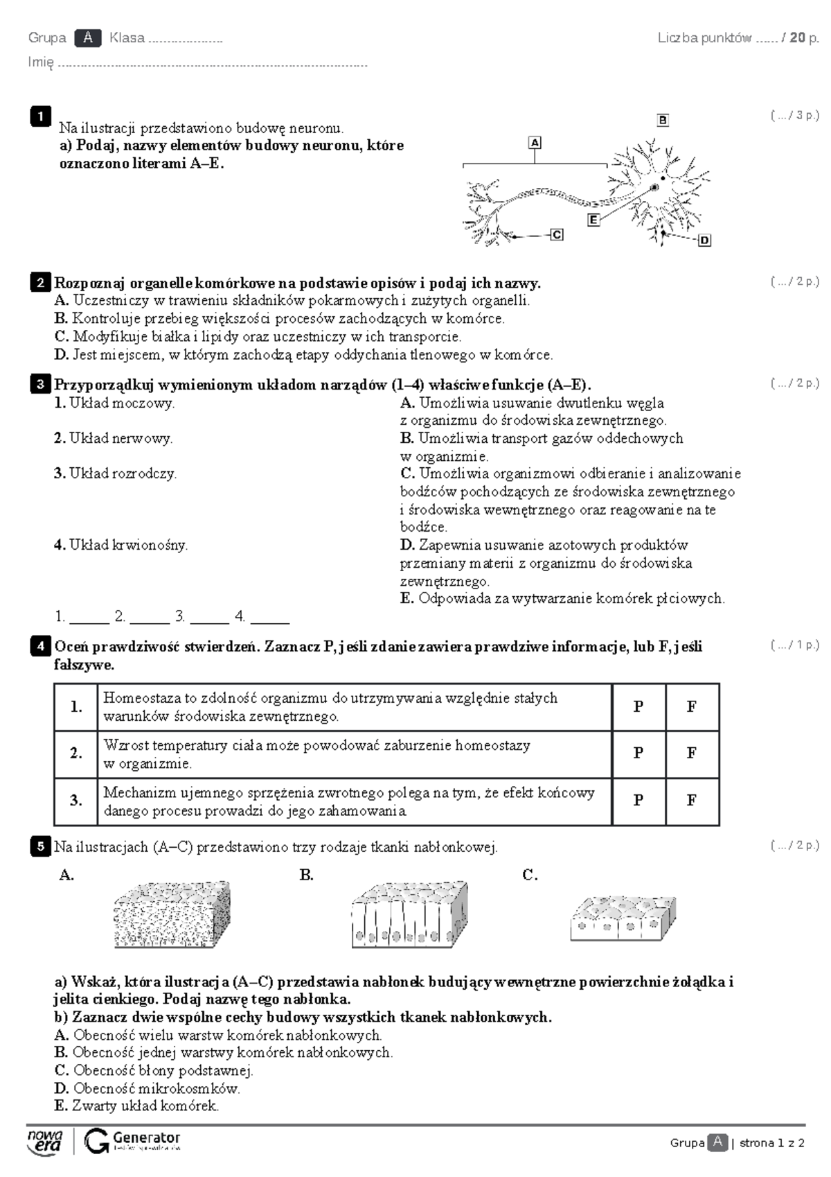 R1. Organizm człowieka jako funkcjonalna całość Test (z widoczną