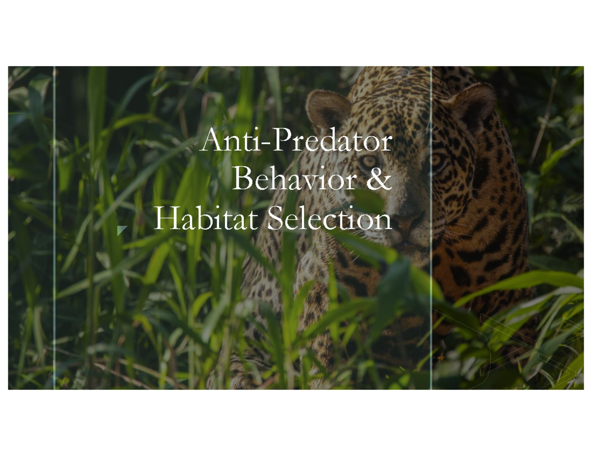 Antipredator Behavior and Habitat Use: A Comprehensive Overview - z ...