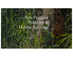 Foraging and Anti-Predator Behavior: Core Theories and Strategies ...